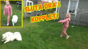 Sluta dra i koppel